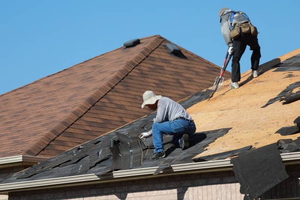 Best Sheet Metal Roofing  in Ronceverte, WV
