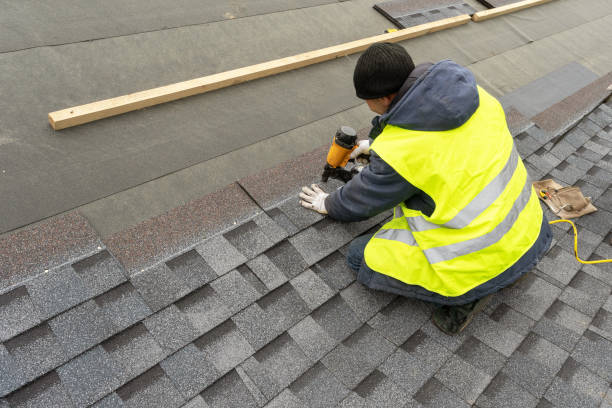Best Roof Ventilation Installation  in Ronceverte, WV