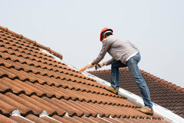 Best Roof Insulation Installation  in Ronceverte, WV