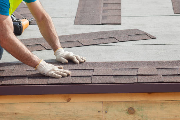 Best Skylight Installation and Repair  in Ronceverte, WV