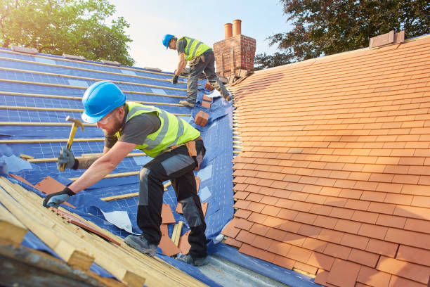Best Green or Eco-Friendly Roofing Solutions  in Ronceverte, WV